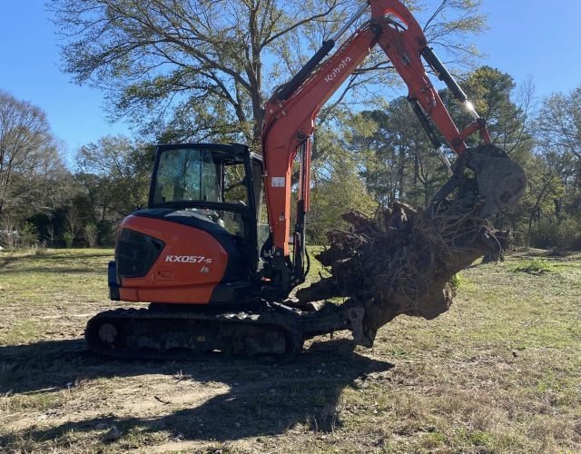 land-clearing02