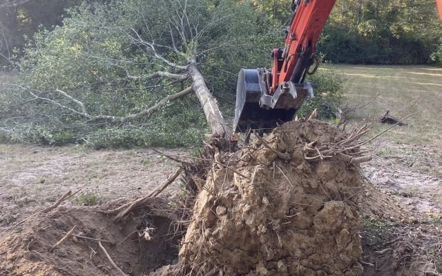land-clearing06